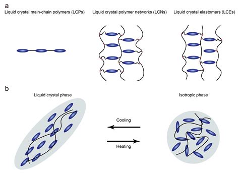  Liquid Crystal Polymers – Den Nya Superhjälten i Högeffektivitetens Värld!