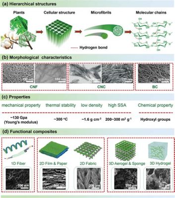 Nanocellulosa – Ett revolutionerande material för avancerad komposittillverkning och hållbar fiberförstärkning!